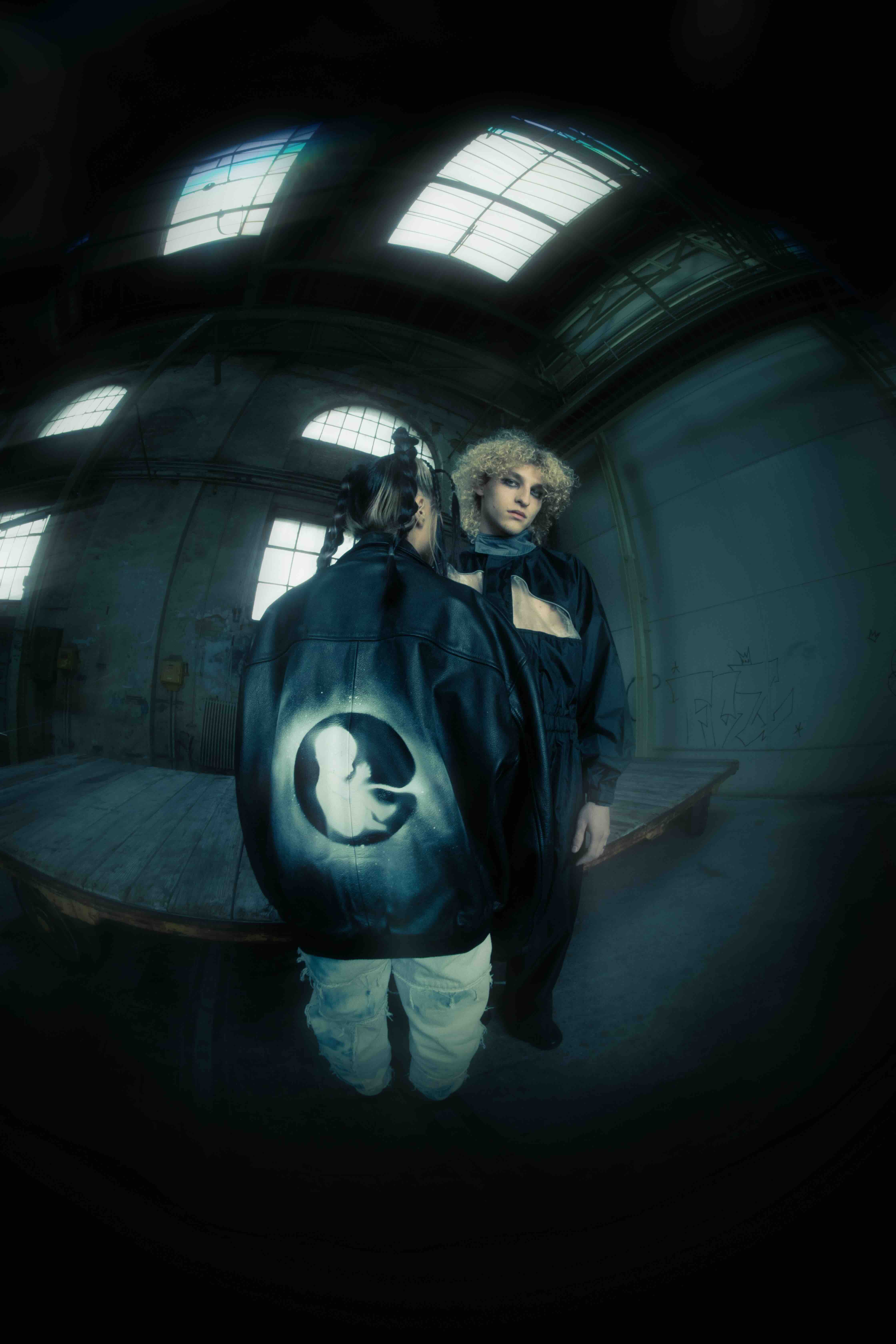 picture from foetus project